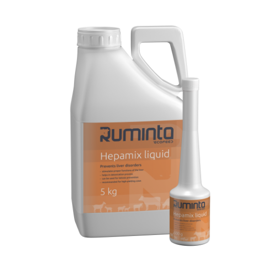Ruminta Wspomaga Pracę Wątroby Krów Hepamix liquid 500g